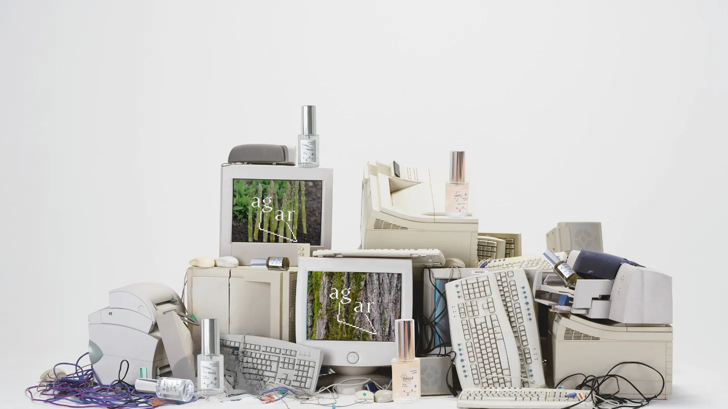 What Does Our Fate Smell Like? Olfaction of Ecological Collapse